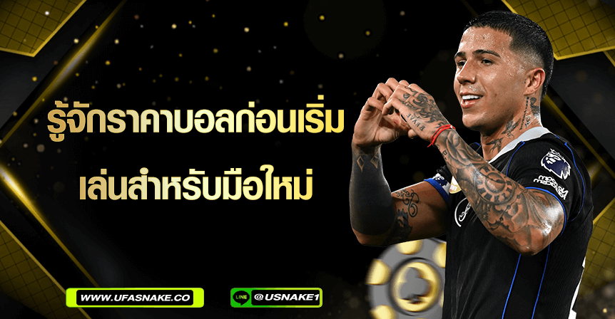 รู้จักราคาบอลก่อนเริ่มเล่นสำหรับมือใหม่